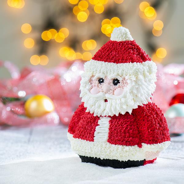 STAMPO 3D BABBO NATALE 6 STAMPO 3D BABBO NATALE