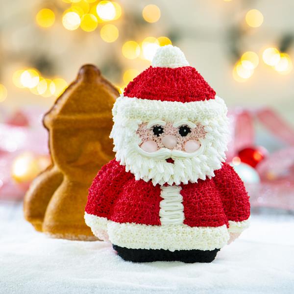 STAMPO 3D BABBO NATALE 5 STAMPO 3D BABBO NATALE