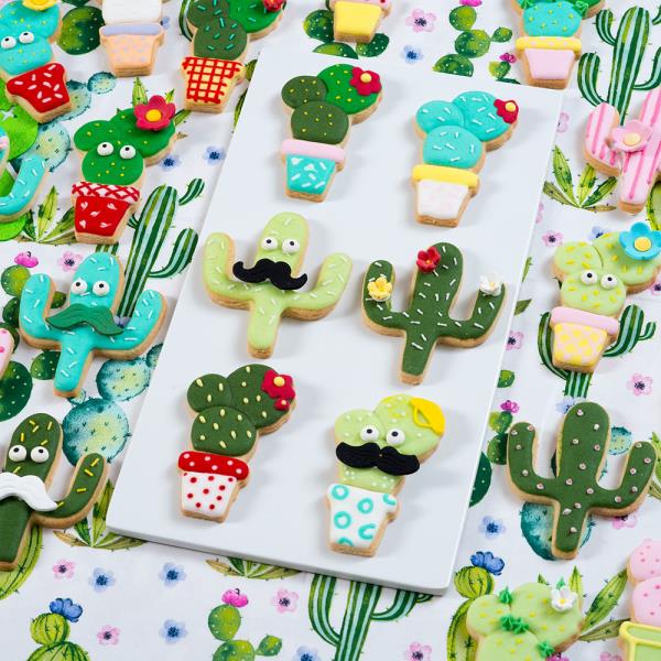 SET 2 TAGLIAPASTA CACTUS 5 SET 2 TAGLIAPASTA CACTUS