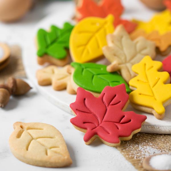 SET 3 TAGLIAPASTA IN PLASTICA FOGLIE D'AUTUNNO 2 SET 3 TAGLIAPASTA IN PLASTICA FOGLIE D'AUTUNNO
