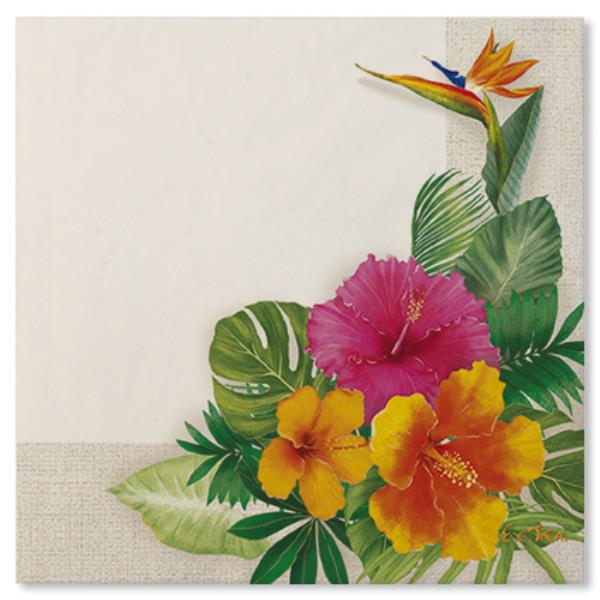 TOVAGLIOLO 33x33 TROPICAL Ex.tra.™