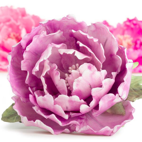 KIT TAGLIAPASTA PEONIA PZ.7 2 KIT TAGLIAPASTA PEONIA PZ.7