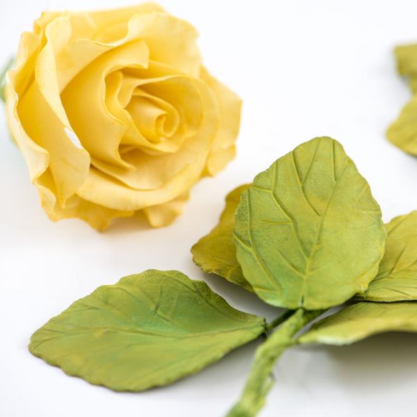 KIT TAGLIAPASTA PETALO E SEPALO DI ROSA PZ.7 3 KIT TAGLIAPASTA PETALO E SEPALO DI ROSA PZ.7