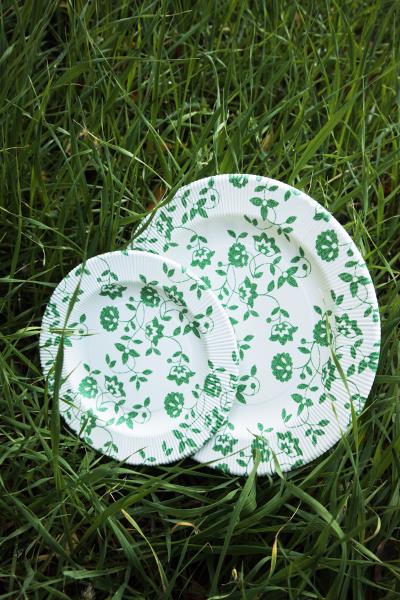 PIATTO PIANO COMPOSTABILE RIGHE NATURA VERDE Ex.Tra.™