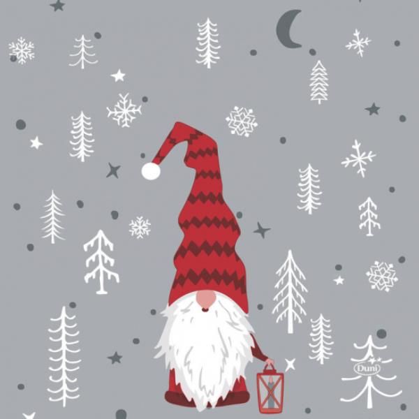 TOVAGLIOLO DUNI 24x24 cm. TOMTE MED LUVA FOLLETTO pz.20 1 TOVAGLIOLO DUNI 24x24 cm. TOMTE MED LUVA FOLLETTO pz.20