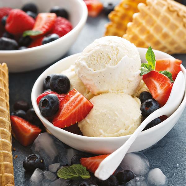 PREPARATO PER GELATI