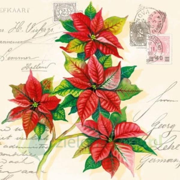 TOVAGLIOLO 25x25 cm. CHRISTMAS GREETINGS pz.20 1 TOVAGLIOLO 25x25 cm. CHRISTMAS GREETINGS pz.20