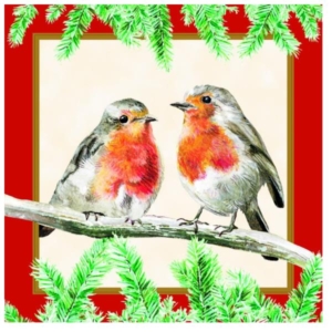 TOVAGLIOLO 33x33 cm. ROBINS RED pz.20