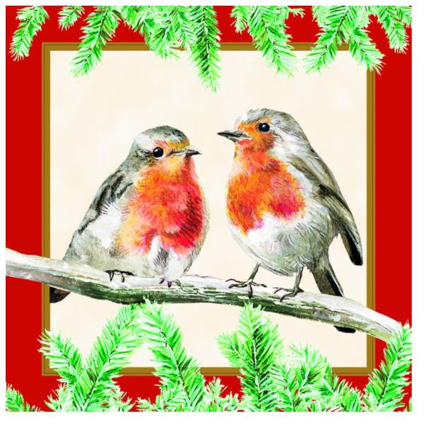 TOVAGLIOLO 33x33 cm. ROBINS RED pz.20 1 TOVAGLIOLO 33x33 cm. ROBINS RED pz.20