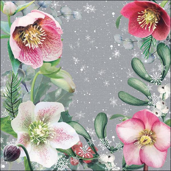 TOVAGLIOLO 33x33 cm. HELLEBORUS ORIENTALIS GREY pz.20 1 TOVAGLIOLO 33x33 cm. HELLEBORUS ORIENTALIS GREY pz.20