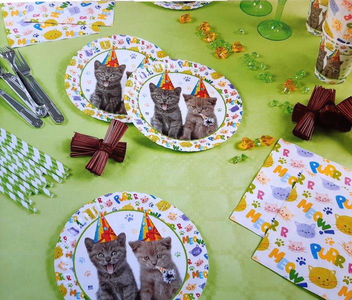 BICCHIERE GATTINI pz.8 2 BICCHIERE GATTINI pz.8