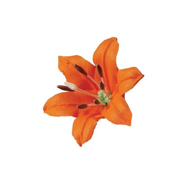 PISTILLI PER LILIUM PZ.30 3 PISTILLI PER LILIUM PZ.30