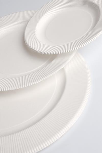 PIATTO PIANO RIGHE AVORIO Ex.Tra.™ 3 PIATTO PIANO RIGHE AVORIO Ex.Tra.™