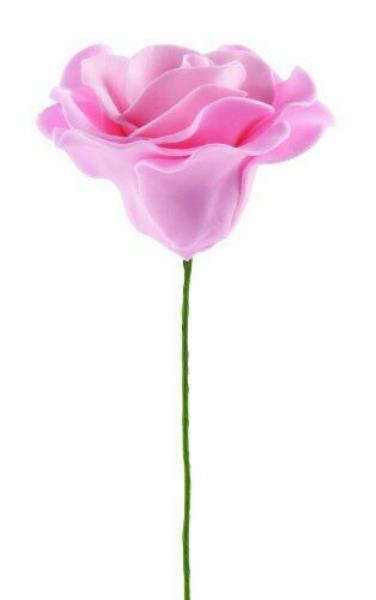 BASI IN PLASTICA PER ROSA 3 BASI IN PLASTICA PER ROSA