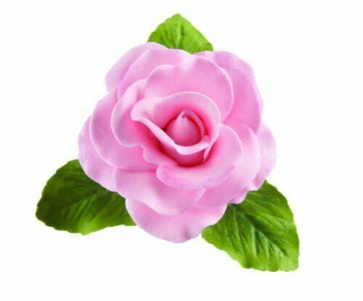 BASI IN PLASTICA PER ROSA 4 BASI IN PLASTICA PER ROSA