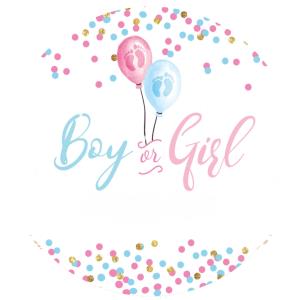 GENDER REVEAL RIVELAZIONE SESSO