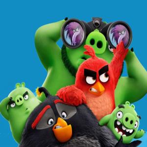 ANGRY E BIRDS