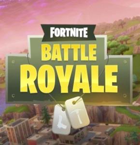 BATTLE ROYAL - FORTNITE