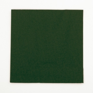 TOVAGLIOLO 33x33 cm. VERDONE pz.16