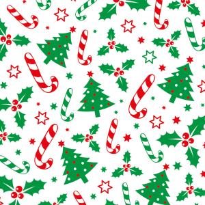 CF.20 SACCHETTI PER ALIMENTI HOLLY & TREES 12,5x24