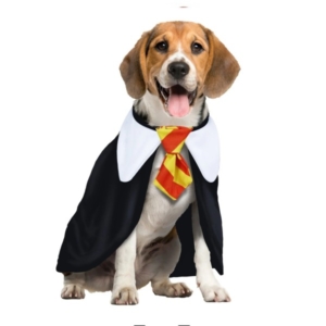 COSTUME PER CANI STUDENTE DI MAGIA DISPONIBILE IN DIVERSE TAGLIE pz.1