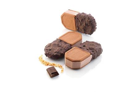 STAMPO SILICONE PER GELATO BISCOTTO KIT 2 PZ. SILIKOMART 2 STAMPO SILICONE PER GELATO BISCOTTO KIT 2 PZ. SILIKOMART